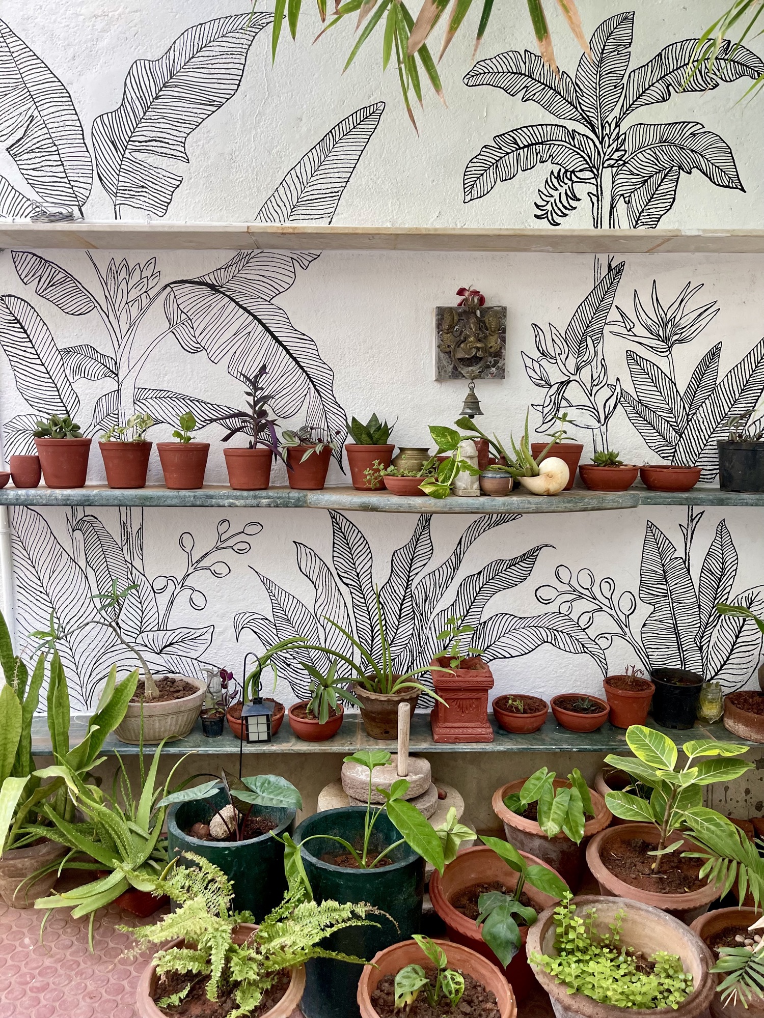Wide view of a hand-painted botanical mural with banana leaves above three shelves of potted plants and succulents