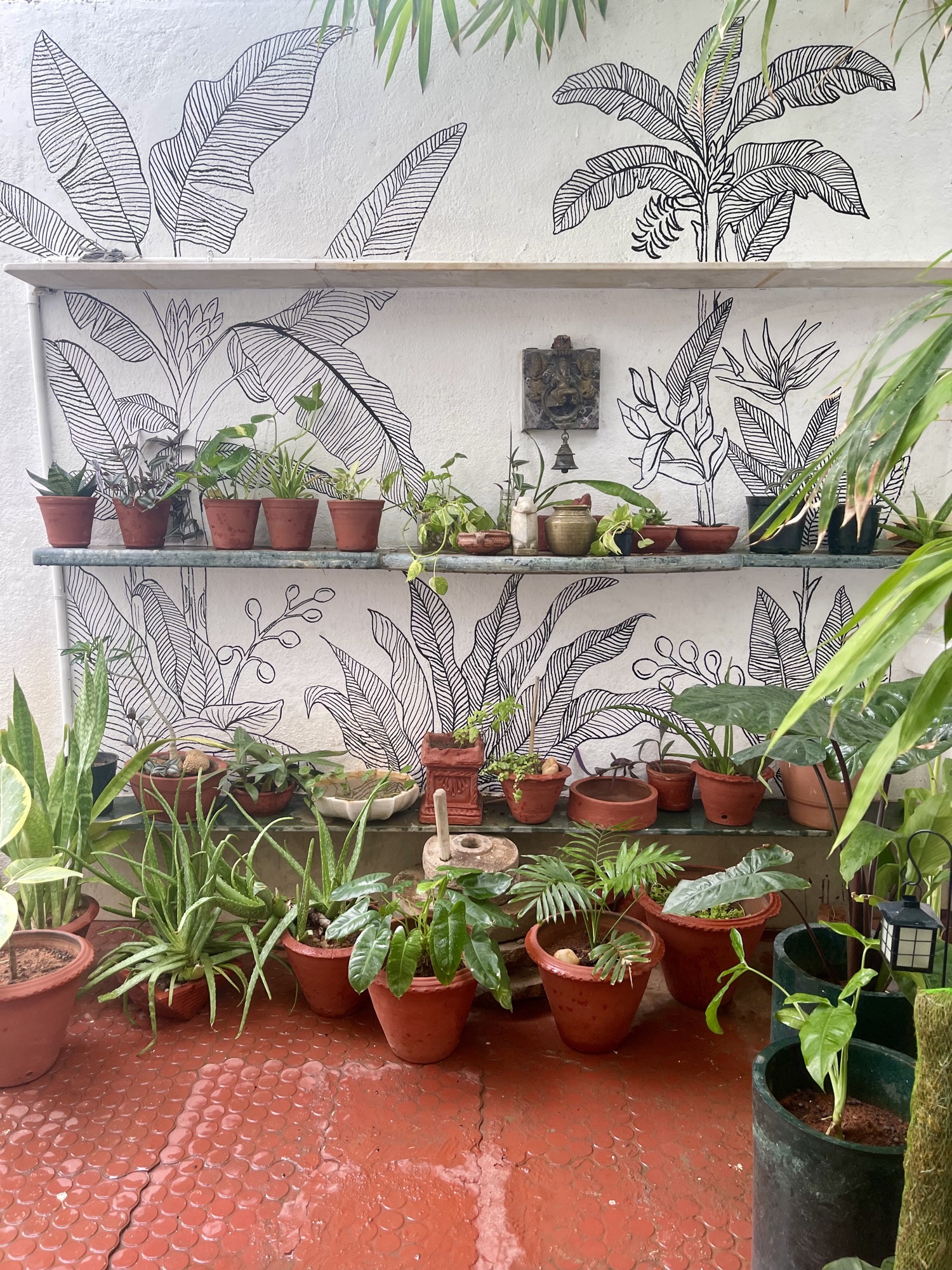 Hand-painted black-and-white botanical mural of banana leaves above a courtyard shelf lined with potted plants